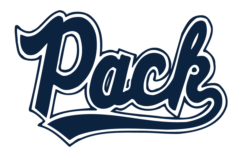 Nevada Wolf Pack 2021-2022 Helmet Logo diy iron on heat transfer